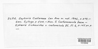 Image Associated With the Occurence